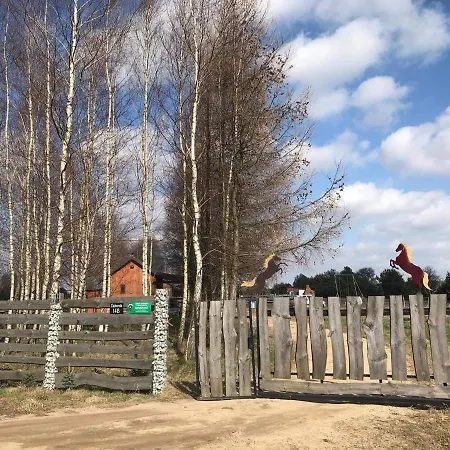 Apartament Sielanka Dąbrowa Rzasnik